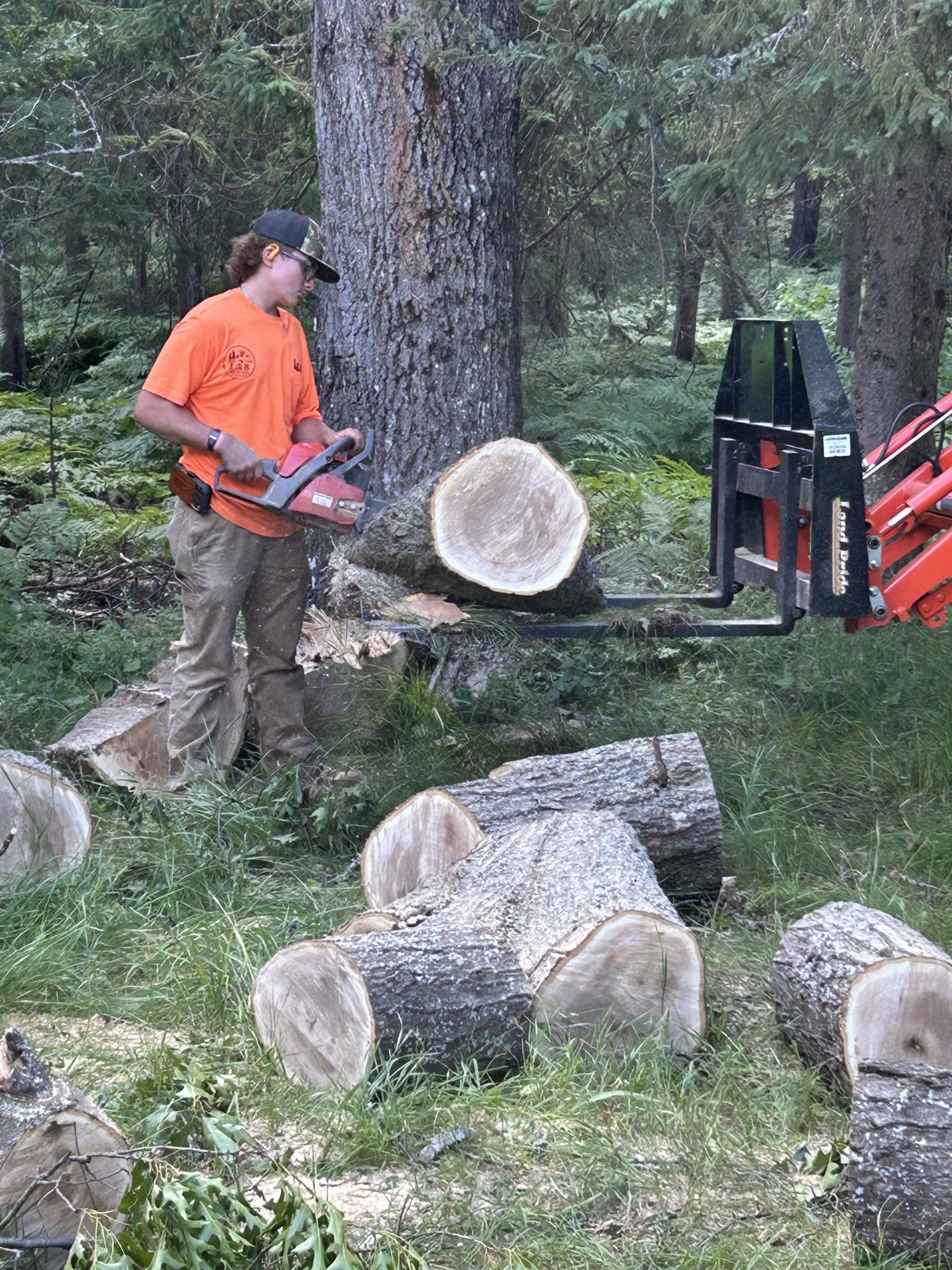 L&B crew member cutting a felled tree into logs during a land-clearing job